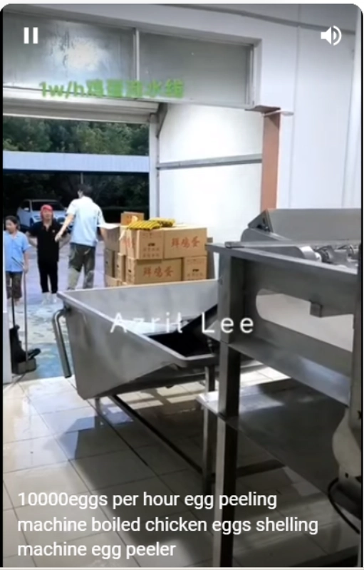 egg peeling machine