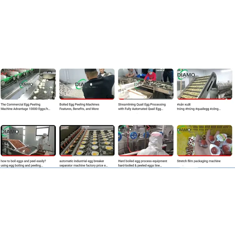 Egg machine manufacturer