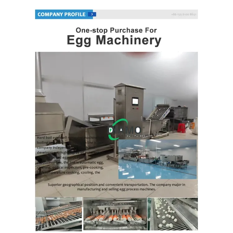 Egg boiling and peeling processing line