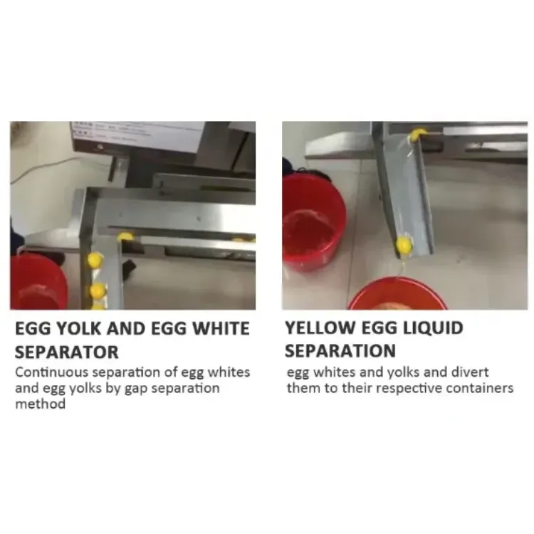 egg breaking machine