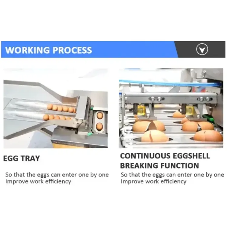 egg breaking machine